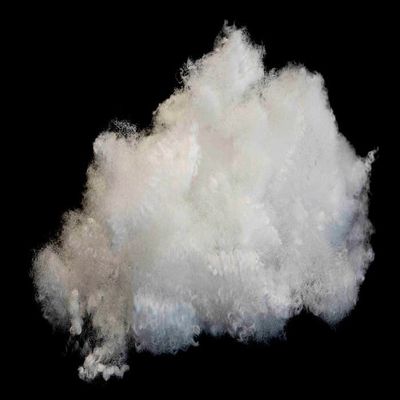 PET Hollow Conjugated Siliconized Polyester Fiber