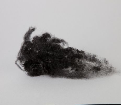 38mm Length 1.2D 1.4D 1.5D Diameter Colored Polyester Fiber