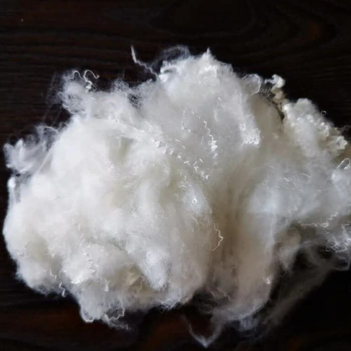 3D Virgin Conjugate Fiber