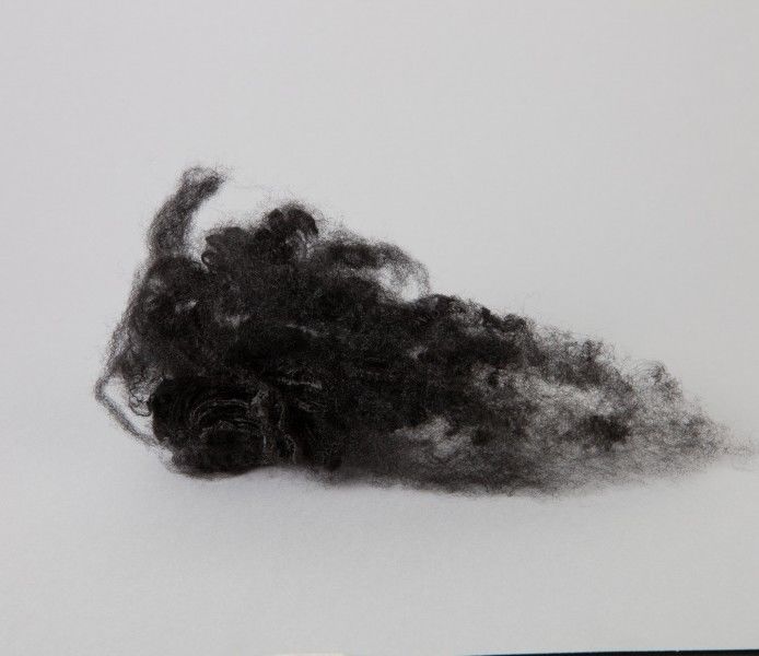 38mm Length 1.2D 1.4D 1.5D Diameter Colored Polyester Fiber