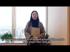 Needle-punch Nonwoven